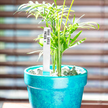 Load image into Gallery viewer, Fussy Little Fucker Plant Marker