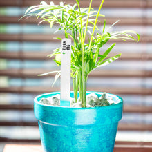 Load image into Gallery viewer, Sun Whore Plant Marker