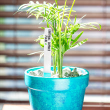 Load image into Gallery viewer, Emotional Support Plant Plant Marker